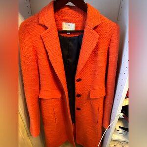 Beautiful orange coat